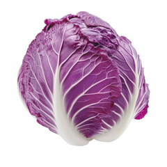 Obraz premium Fresh purple chinese cabbage displayed on a Transparent background highlighting its vibrant color and texture, purple chinese cabbage isolated on PNG background