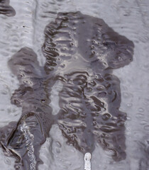 plastic board after fire burning