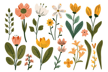 Vintage Style Wildflower Illustration Set