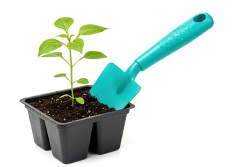A small plant in a black pot with a blue shovel on a white background photographed in studio light