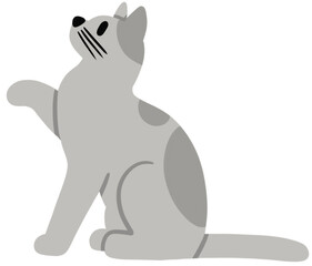 Cat Illustrations