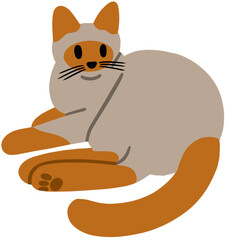 Cat Illustrations