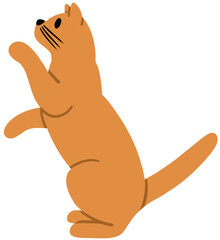 Cat Illustrations