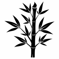 Fototapeta premium Bamboo Isolated Images