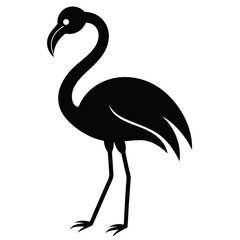 Fototapeta premium Lamingo Images 