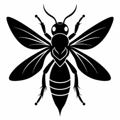 Fototapeta premium a various wasp silhouettes black color silhouettes 