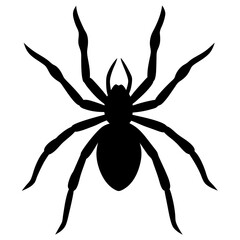 Obraz premium A black silhouette of a spider with extended legs