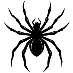 Obraz premium A black silhouette of a spider with extended legs