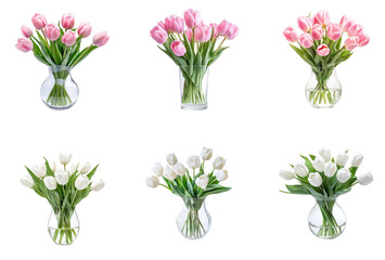 Fototapeta premium Collection of Pink tulips flower in glass vase isolate on transparent background