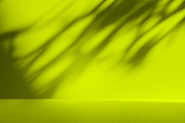 Wall interior background, studio and backdrops show products. with leaf shadow from window color yellow and white. background for text insertion and presentation of product