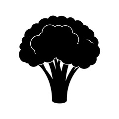 Broccoli Silhouette  vector illustration