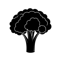 Broccoli Silhouette  vector illustration