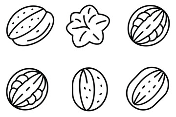 pecan sandie line art illustration delicate fine line sketch