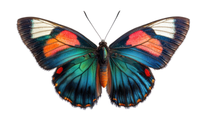 Green, blue and red butterfly flying isolate on transparent background