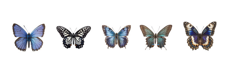 Collection of Blue butterfly flying isolate on transparent background
