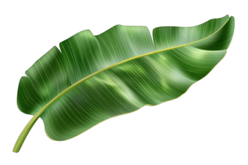 a vibrant detailed illustration of a large green leaf showcasing its smooth texture and natural curves ideal for design botanical studies or environmental themes