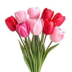 Naklejka premium Bouquet of Tulips pink and red isolate on transparent background