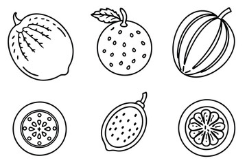 passionfruit line art aesthetic tropical nature sketch