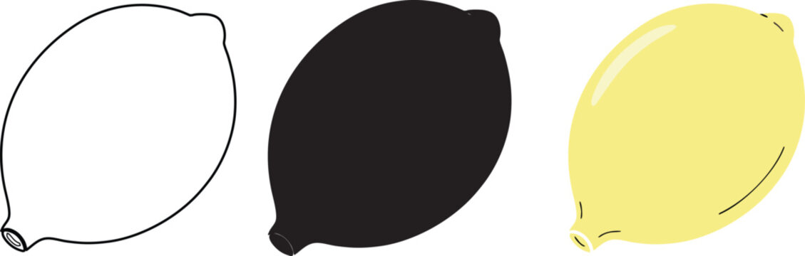Abiu fruits are tropical, round, yellow fruits with a sweet, creamy, and mildly caramel-like flavor. Silhouette and vector illustration.