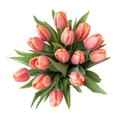 Obraz premium Bouquet of Tulips top view isolate on transparent background