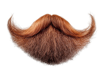 Reddish-brown beard and mustache on transparent background. Fine texture and depth. Realistic hair details