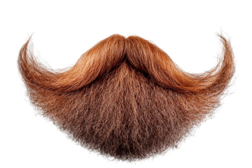 Reddish-brown beard and mustache on transparent background. Fine texture and depth. Realistic hair details