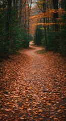 Fototapeta premium Autumn Forest Path: A Serene, Leaf-Covered Trail