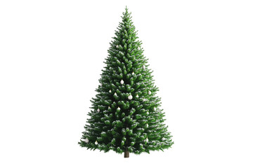 Fototapeta premium Evergreen tree with white decorations. Full frame against transparent background