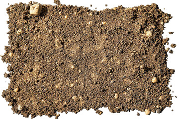 Earthy texture. Soil surface featuring small rocks and grainy dirt creating a natural ground