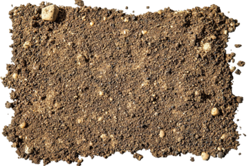 Earthy texture. Soil surface featuring small rocks and grainy dirt creating a natural ground