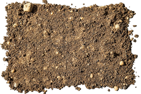 Earthy texture. Soil surface featuring small rocks and grainy dirt creating a natural ground