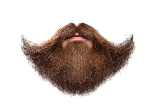 A bushy brown beard and mustache partially obscure the mouth against a transparent background