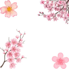 cherry blossom border