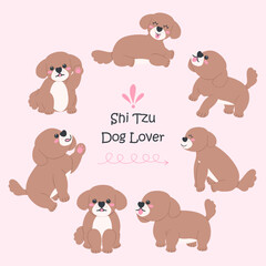 Shih Tzu Dog Cartoon Set in Cute Flat Design with Different Poses and Expressions