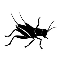 Minimalist Vector Silhouette of Cricket Insect on Transparent Background
