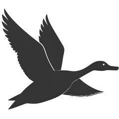 vector illustration of a duck