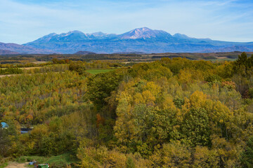 秋の北海道美瑛町の風景