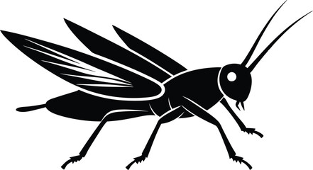vector illustration of a black and white spider, vector illustration of a bug, vector illustration of a mosquito.