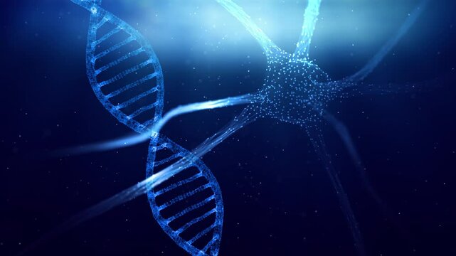 Pulsing neuron cel and dna chain rotation in the artistic brain animation.