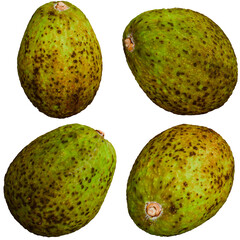 Four different angles of 3D Avocado with Green Skin on Alpha Background