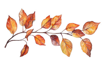 a watercolor illustration of a branch with autumn leaves in shades of orange yellow and brown showcasing the beauty of fall foliage