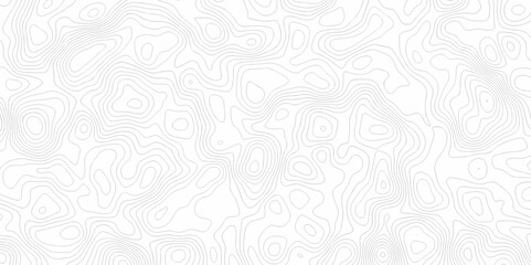Abstract curve grid map and topo contour map on white background, Topographic contour lines. Seamless pattern with lines Topographic map. Geographic mountain relief diagram line wave carve design.