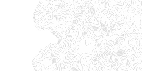 Abstract curve grid map and topo contour map on white background. Seamless pattern with lines Topographic map design.