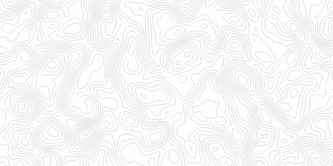Abstract curve grid map and topo contour map on white background. Seamless pattern with lines Topographic map design.