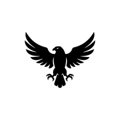 Bird with Large Wings and Sharp Talons Symbolizing a Hawk or Eagle