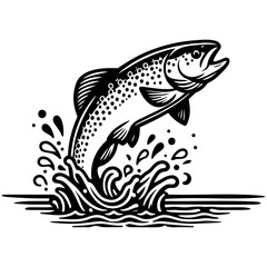 Trout Fish Illustration.