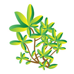 Cute cartoon hand drawn vector foliage.
