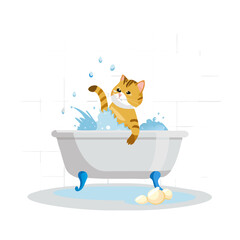Naklejka premium Two cats playing in bath with bubbles and water splashes
