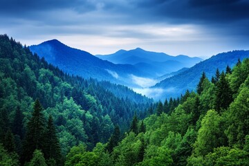 Obraz premium A foggy morning at the Great Smoky Mountains, with mist rolling over tree-covered peaks