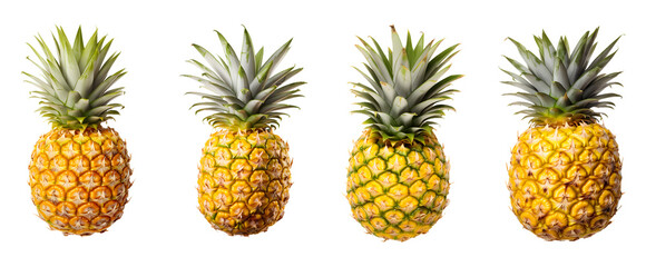 Fresh pineapples isolated on a transparent PNG background, cut out on white background